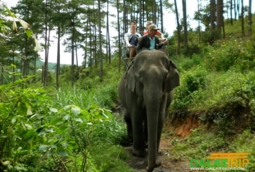 Lac Lak –  Da Lat (B/-/-)