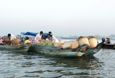 Saigon –  Temps libre – Vung Tau (B/-/-)