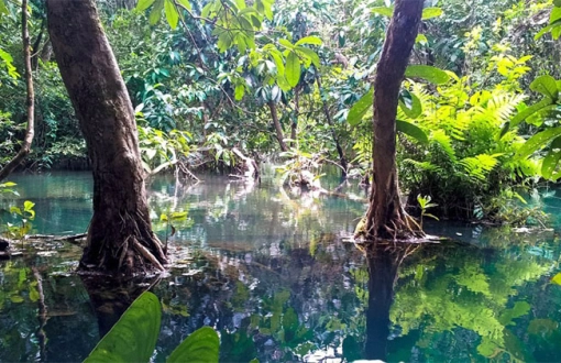 Bokeo: voie vers la nature