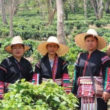 Voyage au Nord et Centre Thaïlande 15 jours : Un périple fascinant