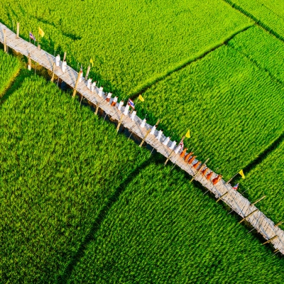 Le pont de Sutong Pe