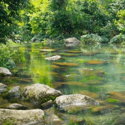 Parc national de Xuân Son