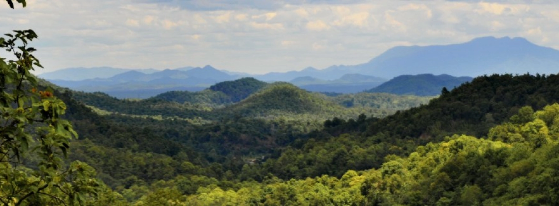 Parc national de Doi Khun Tan