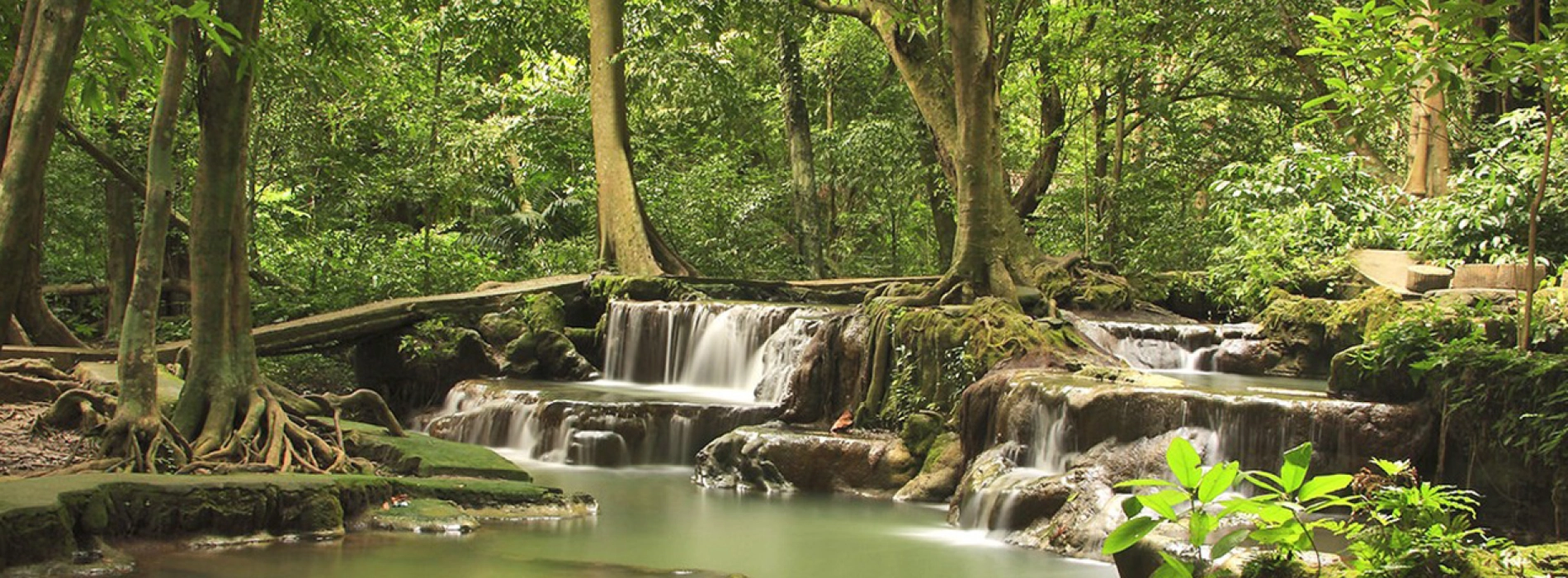 Parc naturel de Thung Teao