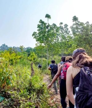 Nature du sud du Laos