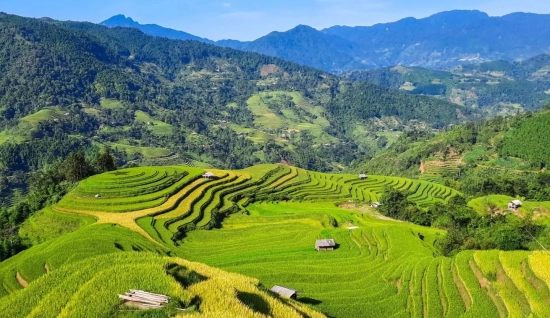 Nord Vietnam 2 semaines : Voie de la montagne à la mer