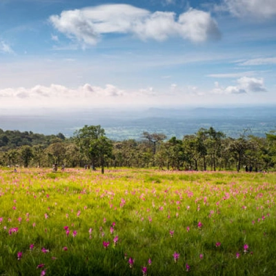 Parc national de Sai Thong