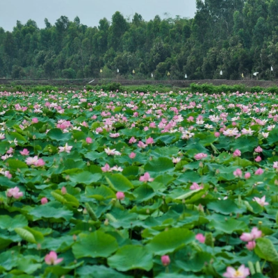 Zone écotouristique de Gao Giong