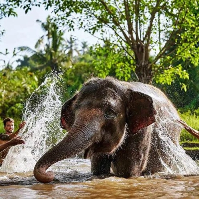 Bali Zoo