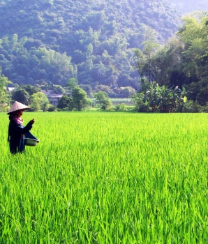 Randonnée à Mai Chau 3 jours 2 nuits : Secrets des villages Thaï Blanc