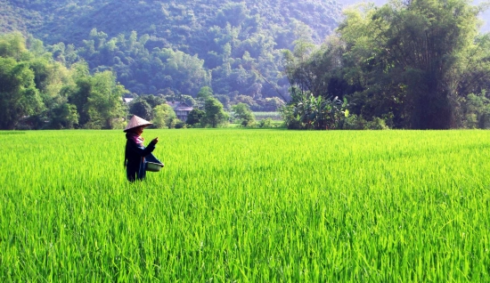 Randonnée à Mai Chau 3 jours 2 nuits: À la découverte des villages Thaï Blanc