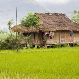 Randonnée à Mai Chau 3 jours 2 nuits: À la découverte des villages Thaï Blanc