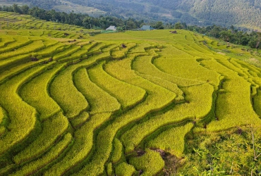 Hanoi - Village de Hang - Villa Don (L,D)