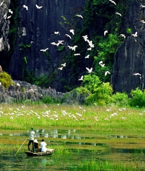 Excursion à Ninh Binh 1 jour : Thung Nham sauvage