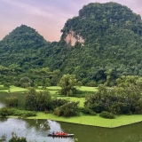 Excursion à Ninh Binh : Observation des oiseaux à Thung Nham une journée