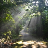 Ninh Binh d'une journée : Parc National de Cuc Phuong