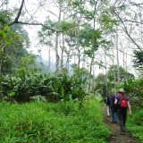 Ninh Binh d'une journée : Parc National de Cuc Phuong