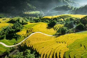 Sapa - Y Linh Ho - Vallée de Muong Hoa - Hanoi (B,L)