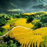 Excursion à Sapa : Découvert une tribu & une terrasse de riz