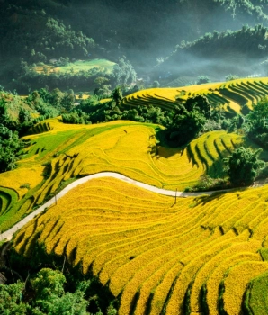 Excursion à Sapa : Découvert une tribu & une terrasse de riz