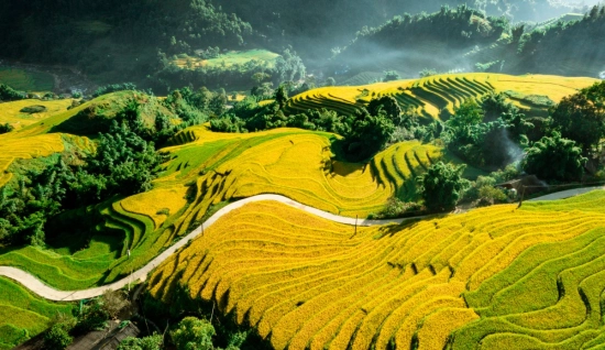 Circuit 2 jours à Sapa : Découverte d'un tribu & une terrasse de riz