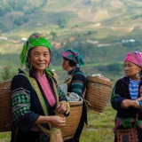 Excursion à Sapa : Découvert une tribu & une terrasse de riz