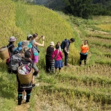 Excursion à Sapa : Découvert une tribu & une terrasse de riz