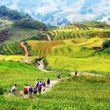 Excursion à Sapa : Découvert une tribu & une terrasse de riz