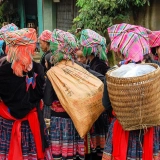 Excursion à Sapa : Découvert une tribu & une terrasse de riz