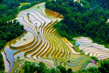 Marché de Bac Ha - Le dimanche - Sapa (B,L)