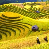 Sapa 4 jours 3 nuits: visite à Bac Ha et la vallee Muong Hoa