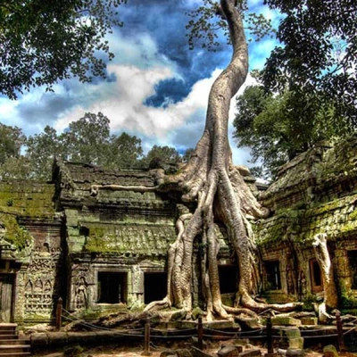 Temple Ta Prohm