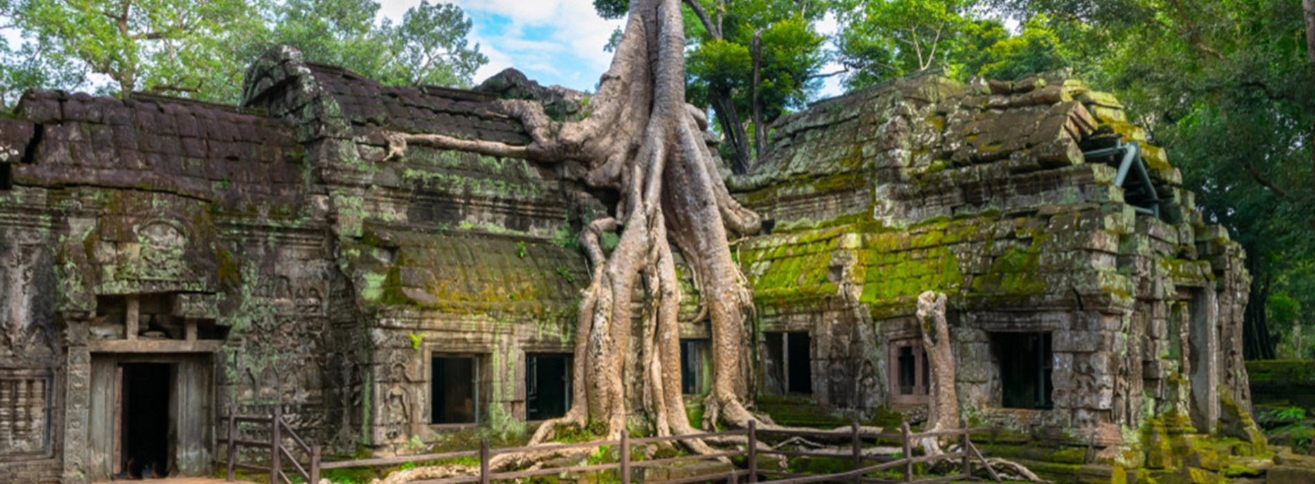 Temple Ta Prohm