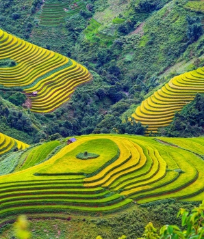 Voyage Nord du Vietnam : Sapa & Mu Cang Chai 5 jours