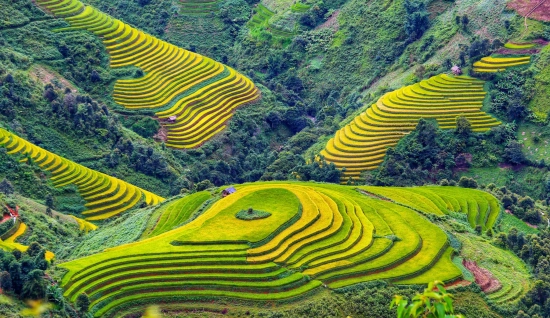 Sapa - Mu Cang Chai 5 jours : Paysages à couper le souffle