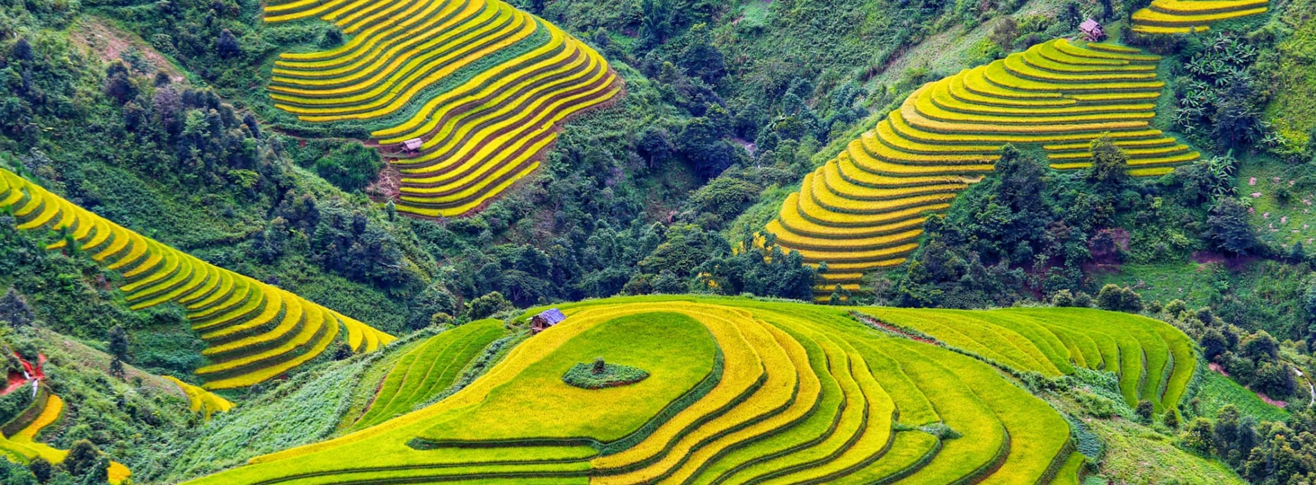 Mu Cang Chai