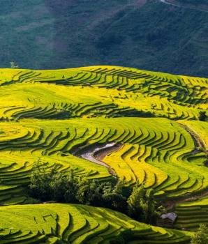 Excursion à Sapa: Sapa & Y Ty 3 jours