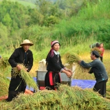 Excursion à Sapa et Y Ty: Sapa & Y Ty 3 jours