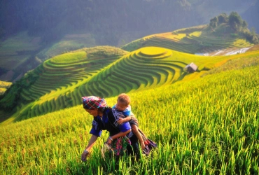 Nghia Lo - Tu Le - Mu Cang Chai (B,L,D)