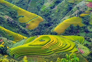 Mu Cang Chai - Nghia Lo - Hanoi (B,L)