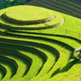 Randonnée de Mu Cang Chai 3 jours