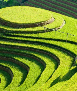 Trekking à Mu Cang Chai 3 jours : Rizières explorées