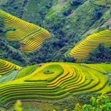 Randonnée de Mu Cang Chai 3 jours