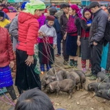 Découverte de Ha Giang en 4 jours : expériences inoubliables hors des sentiers battus