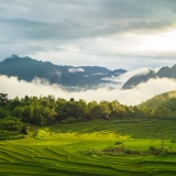 Le panorama du Vietnam 24 jours/23 nuits