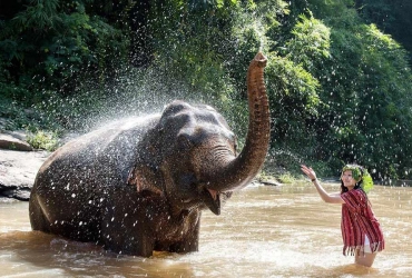 Chiang Mai – Elephant Friends Sanctuary (Tour collectif avec guide anglophone) (B, L)