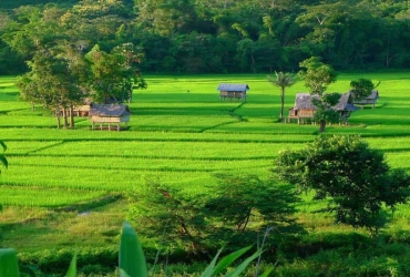 Chiang Khong – Huay Xai – Croisière pour Pakbeng (B, L, D)  Guide anglophone à bord