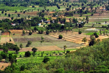 Nong Khai – Lac de Lotus - Distillerie de rhum – Train de nuit pour Bangkok (B)