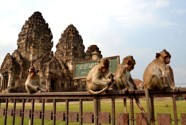 Ayutthaya – Lopburi – Uthai Thani (B)