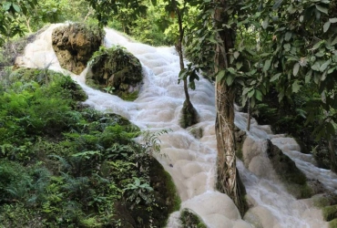 Chiang Mai – Cascades de Bua Tong – Croisière sur la rivière Mae Ping (B)